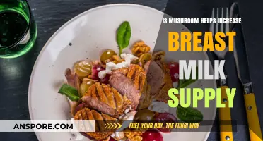 Can Mushrooms Boost Breast Milk Supply? Exploring Natural Lactation Support