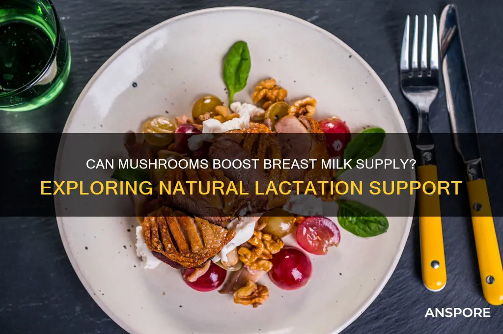 is mushroom helps increase breast milk supply