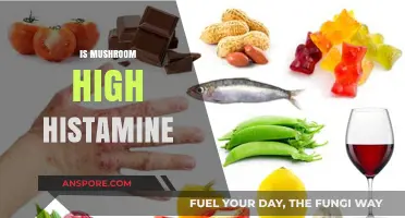 Histamine Intolerance and Mushrooms: Are They Safe?