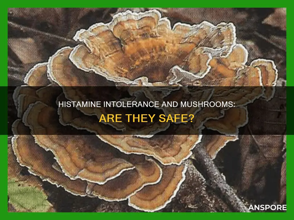 is mushroom high histamine