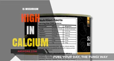 Mushroom Calcium Content: Is It Enough?