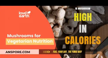 Mushrooms: Are They a Calorie-Dense Food?