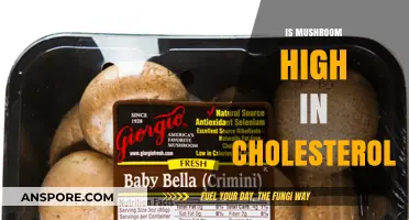 Mushroom Cholesterol: Friend or Foe?