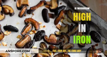 Mushroom Iron Content: A Surprising Truth