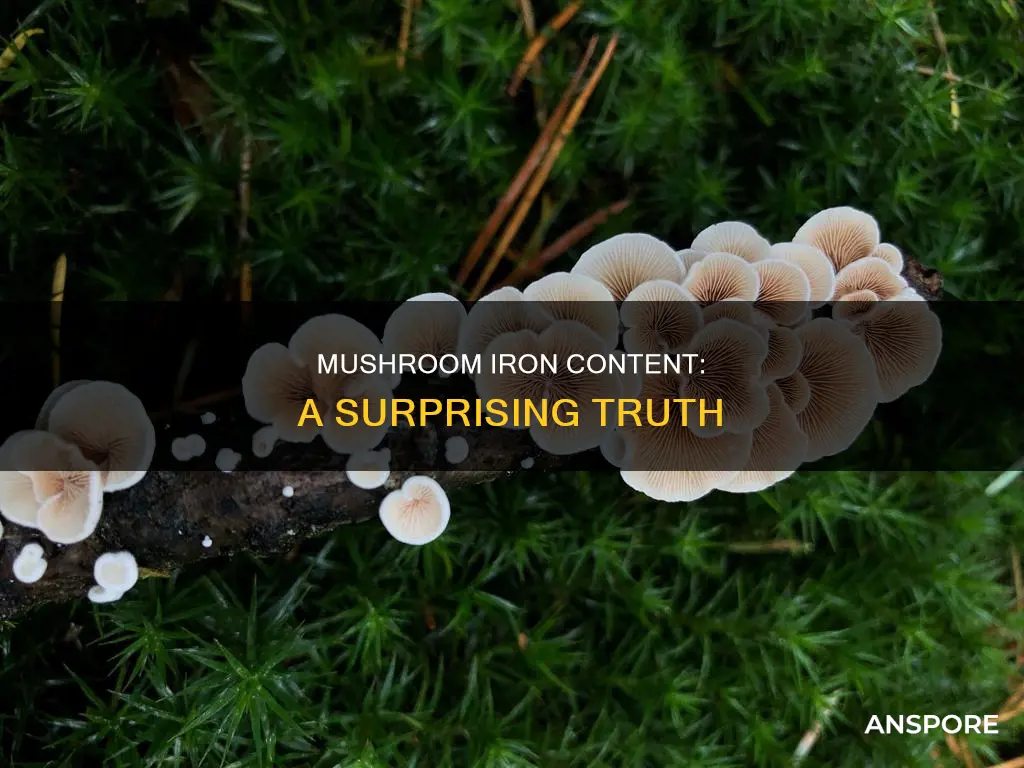 is mushroom high in iron