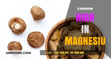 Mushroom Superpowers: Magnesium-Rich Magic