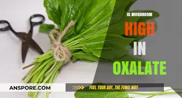 Mushroom Consumption: High Oxalate Content?