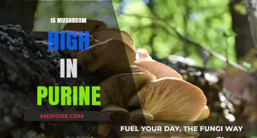 Mushroom's Purine Content: What You Need to Know