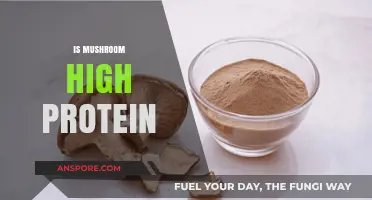 Mushroom Protein Power: Is It a Myth?