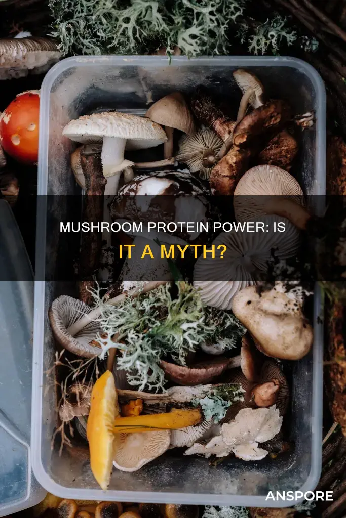 is mushroom high protein
