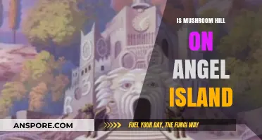 Exploring Angel Island: Unveiling the Mystery of Mushroom Hill