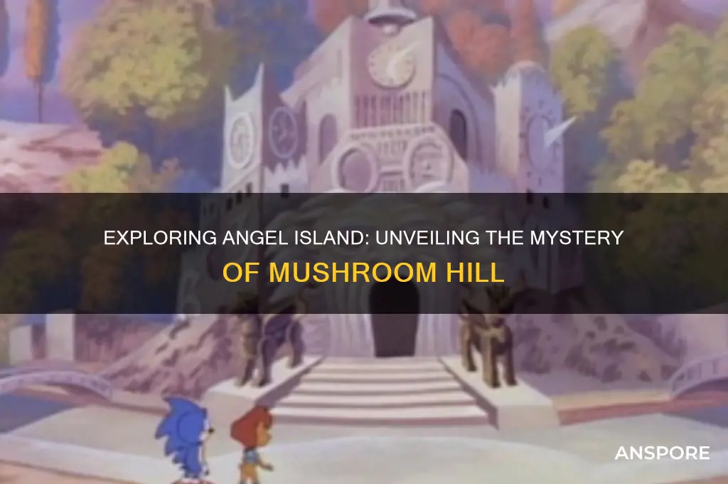 is mushroom hill on angel island