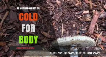 Mushrooms: Warming or Cooling? Unveiling Their Effect on Your Body