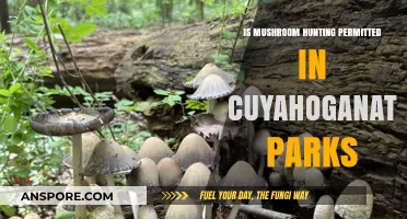 Mushroom Hunting Rules in Cuyahoga National Parks: What's Allowed?