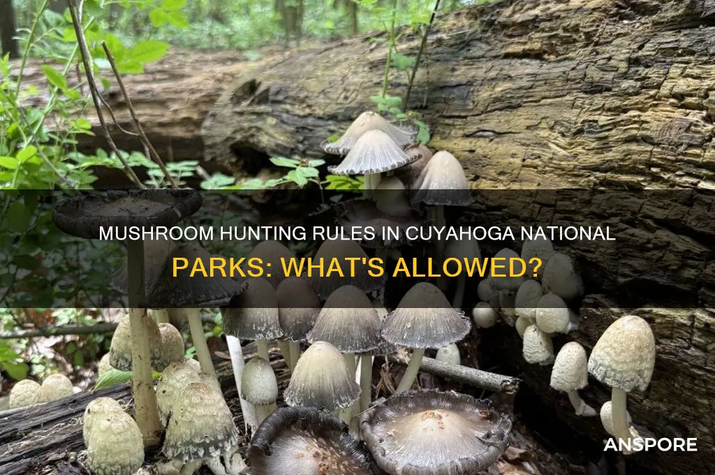 is mushroom hunting permitted in cuyahoganational parks