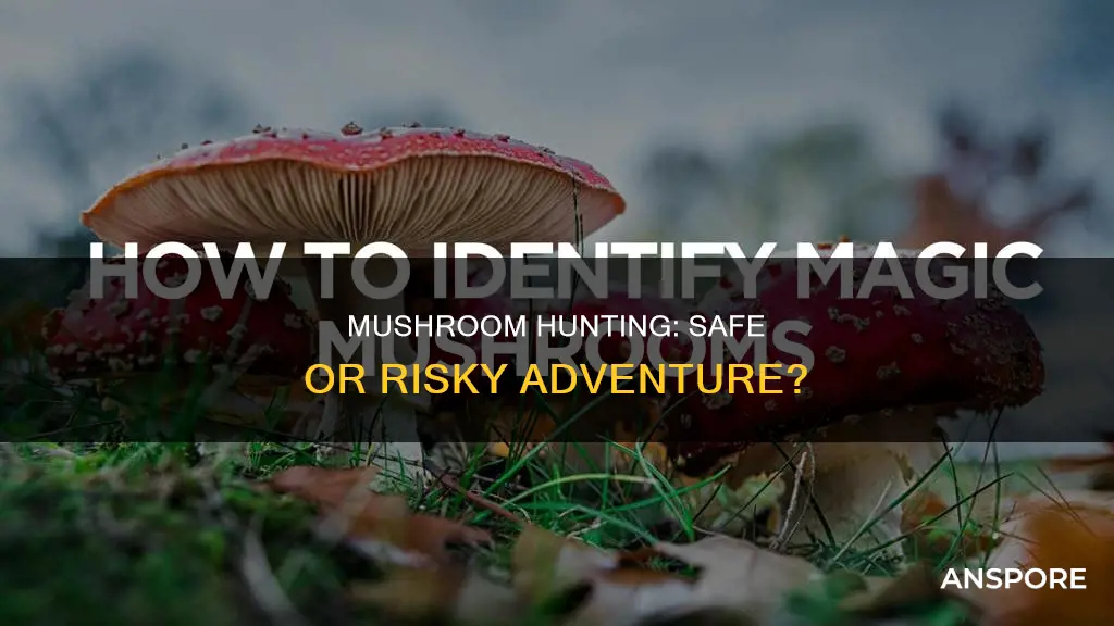 is mushroom hunting safe