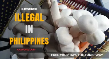 Mushroom Legality in the Philippines: What's the Verdict?