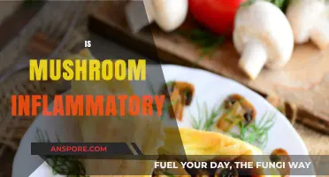 Mushroom's Anti-Inflammatory Power: Myth or Reality?