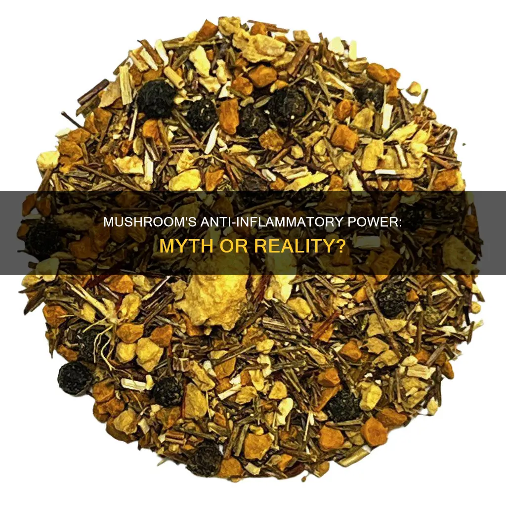 is mushroom inflammatory