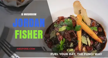 Mushrooming Like Jordan Fisher: A Guide