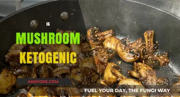 Mushroom's Place in Ketogenic Diet: Friend or Foe?