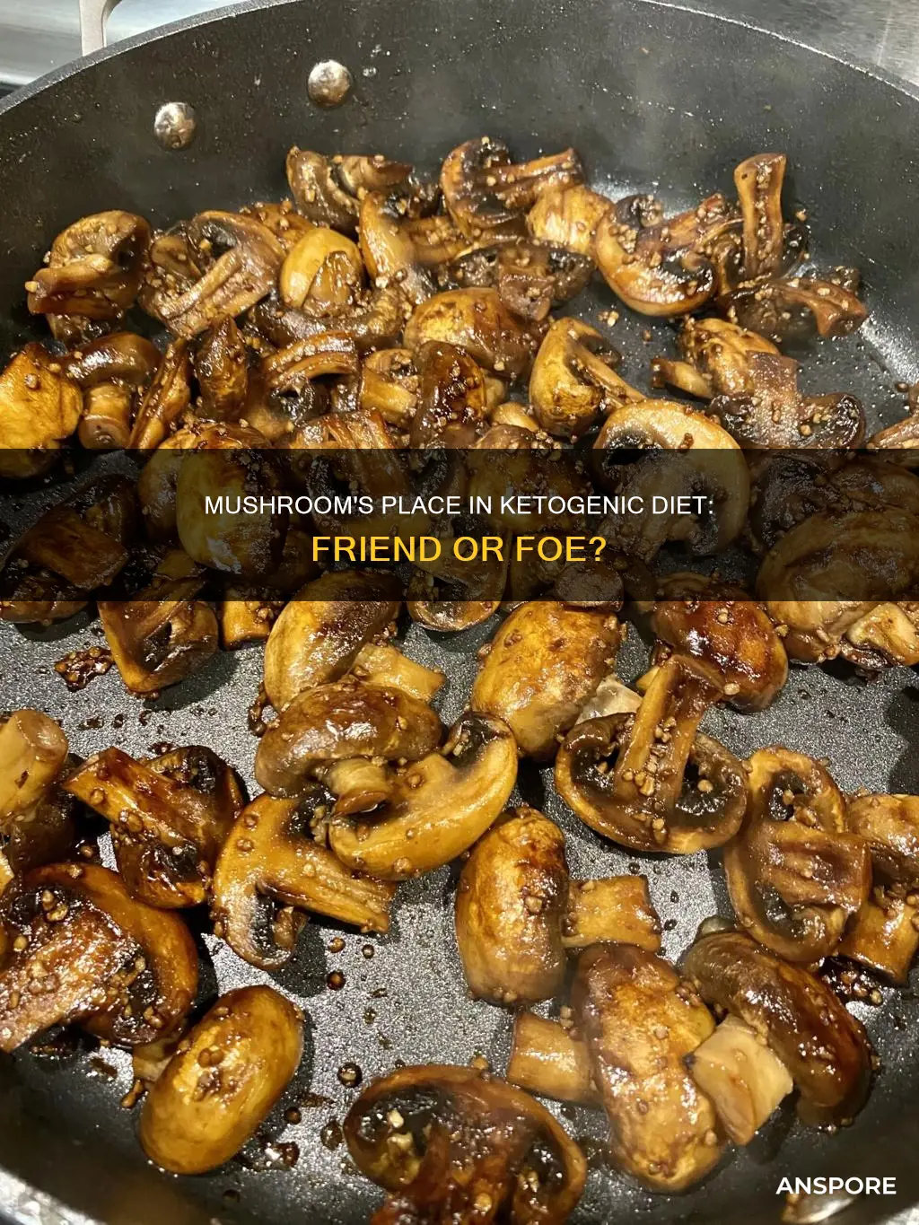 is mushroom ketogenic