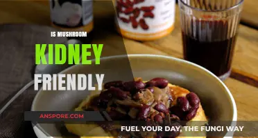 Mushrooms: A Healthy Treat for Kidney Patients