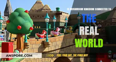 Exploring the Mushroom Kingdom: Real World Connections and Theories