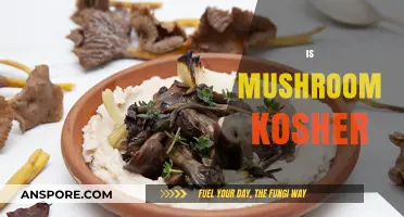 Kosher Mushroom Mystery: What Makes Them Kosher?