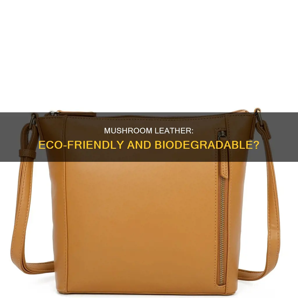 is mushroom leather biodegradable