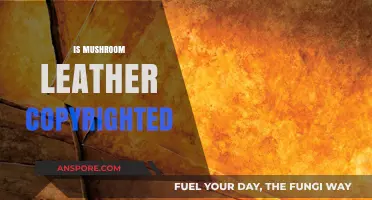 Mushroom Leather: Who Owns the Innovation?