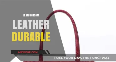 Mushroom Leather: Sustainable and Durable?