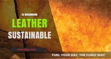 Mushroom Leather: Sustainable Fashion's Future?