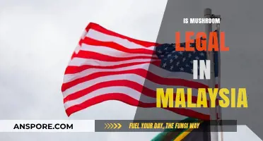 Is Mushroom Legal in Malaysia? Understanding Local Laws and Regulations