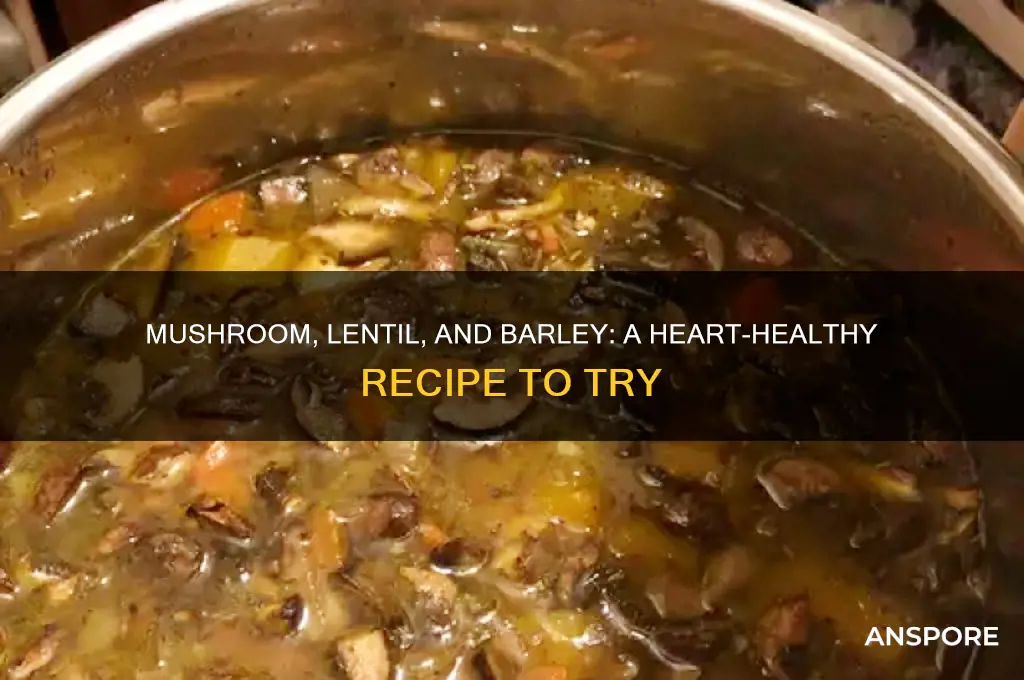 is mushroom lentel and barley a heart healthy recipe