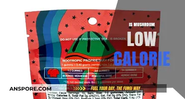 Mushrooms: Healthy, Low-Calorie Superfood?