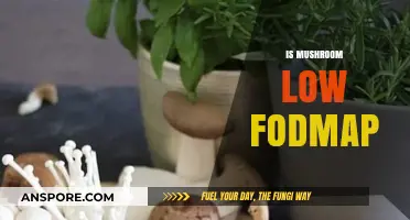 Mushroom Mystery: Low FODMAP Diet-Friendly or Not?