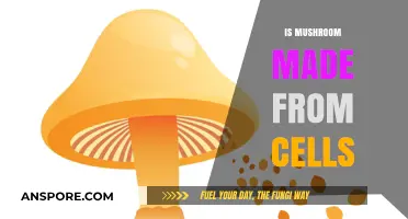 Mushroom Cells: What Are They Made Of?