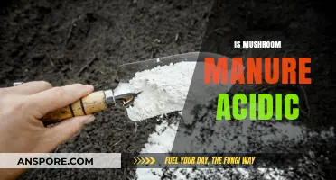Mushroom Manure: Acidic or Alkaline?