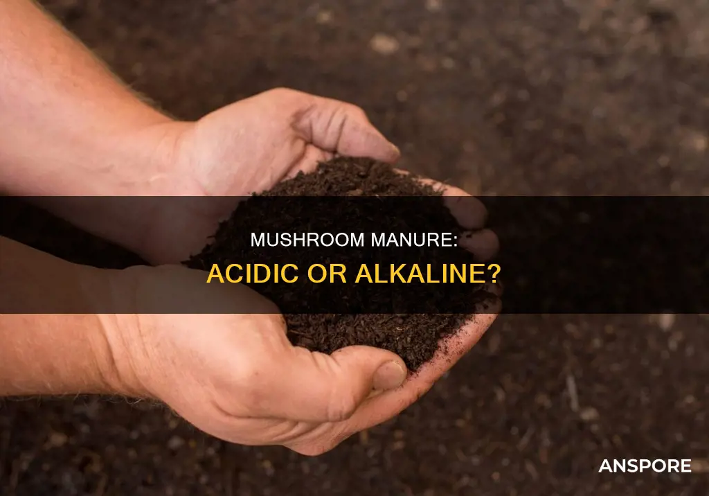 is mushroom manure acidic