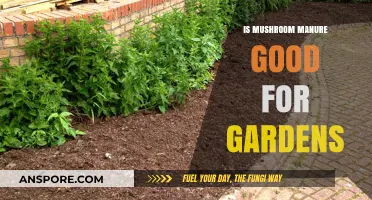 Mushroom Manure Benefits: Enhancing Garden Soil Health and Plant Growth