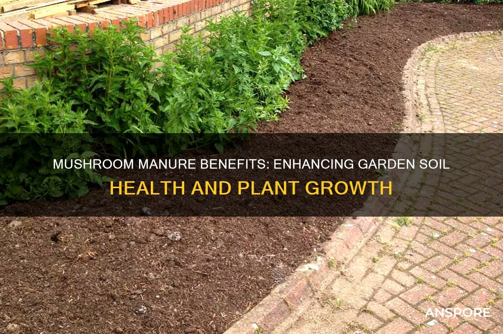 is mushroom manure good for gardens