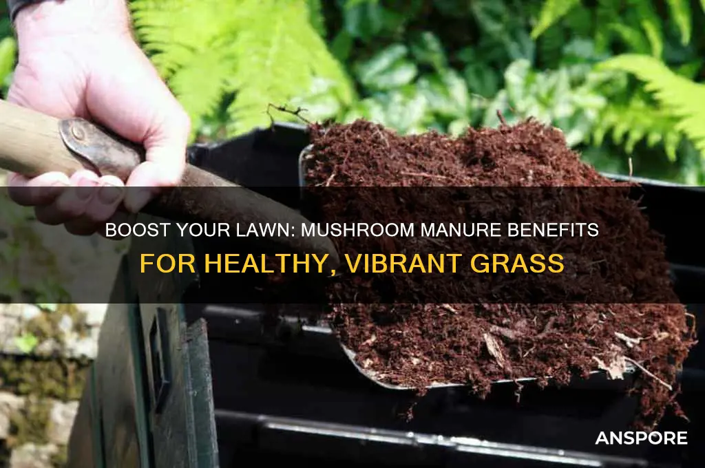 is mushroom manure good for grass