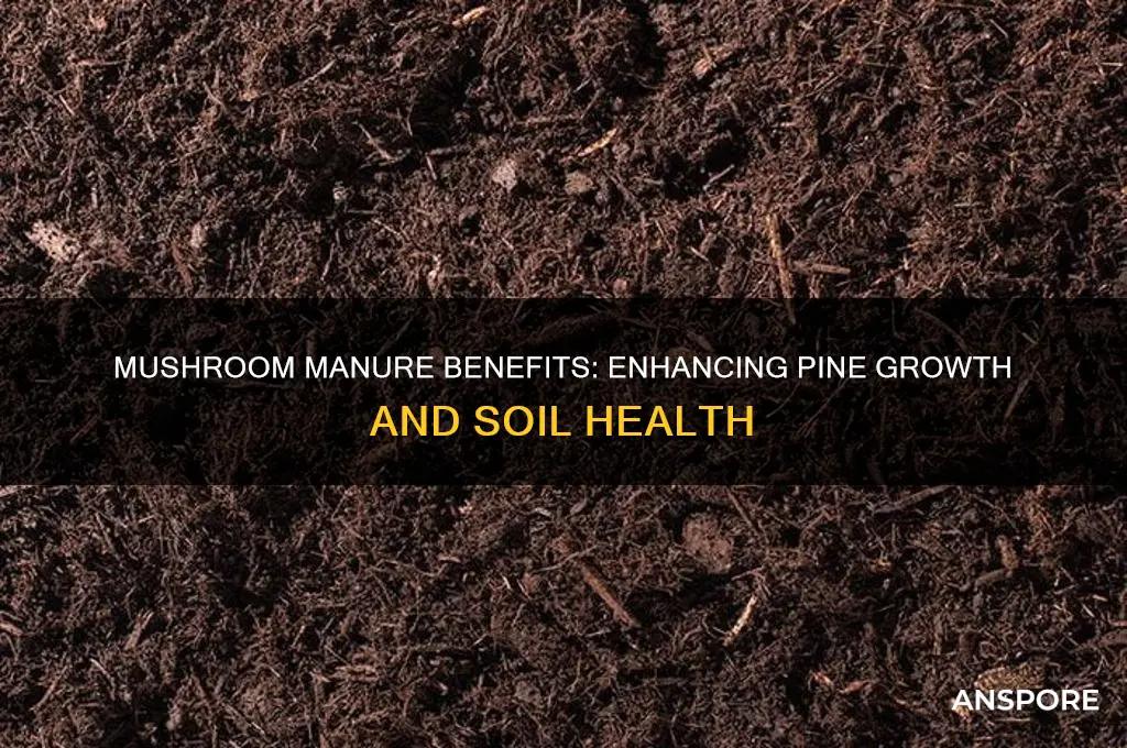 is mushroom manure good for pines