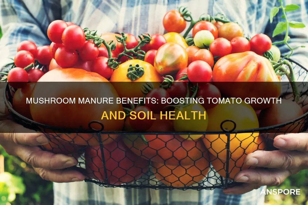 is mushroom manure good for tomatoes