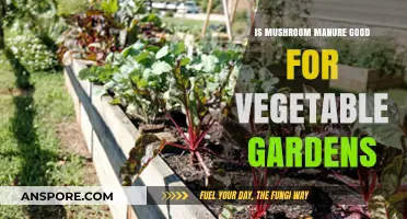 Boost Your Veggie Garden: Mushroom Manure Benefits and Uses