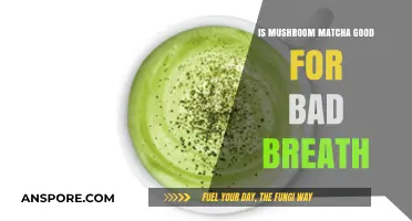 Mushroom Matcha: A Natural Remedy for Bad Breath?