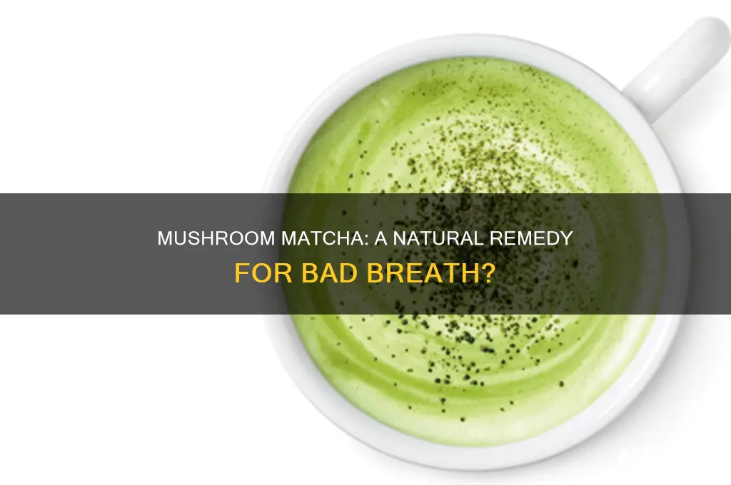 is mushroom matcha good for bad breath