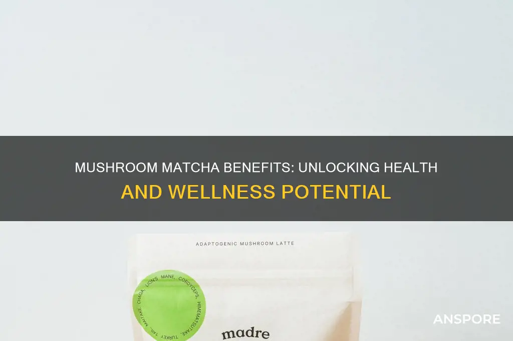 is mushroom matcha good for you