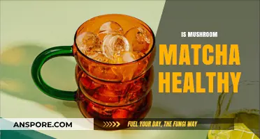 Matcha and Mushrooms: Supercharging Your Health